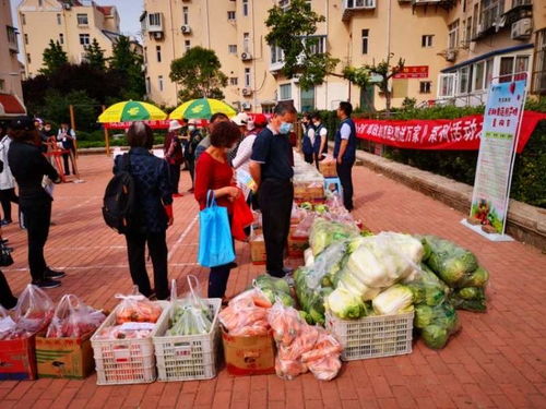 青島市南湛山社區 半小時售罄3000斤！新鮮蔬果進社區，助農惠企利民見實效